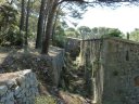 forts_faron_2011_43_1.jpg