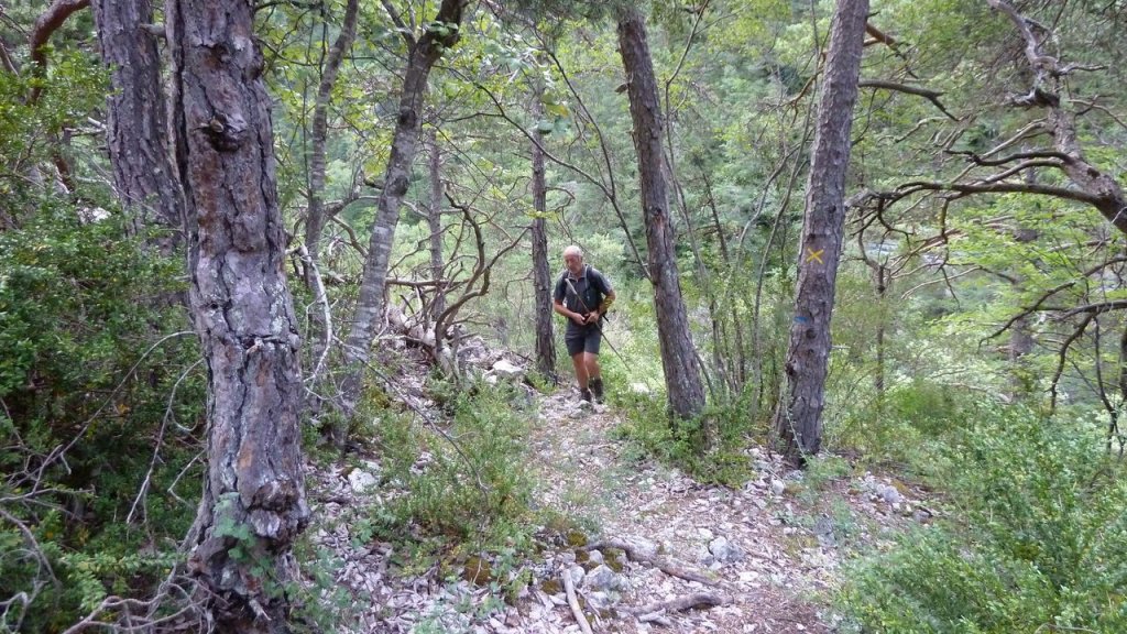 gare_peyresq_juillet_2016_045.JPG