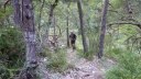 gare_peyresq_juillet_2016_045.JPG