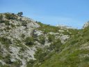garlaban_jacques_mai_2012_010.jpg