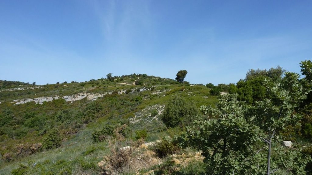garlaban_robert_mai_2012_048.jpg