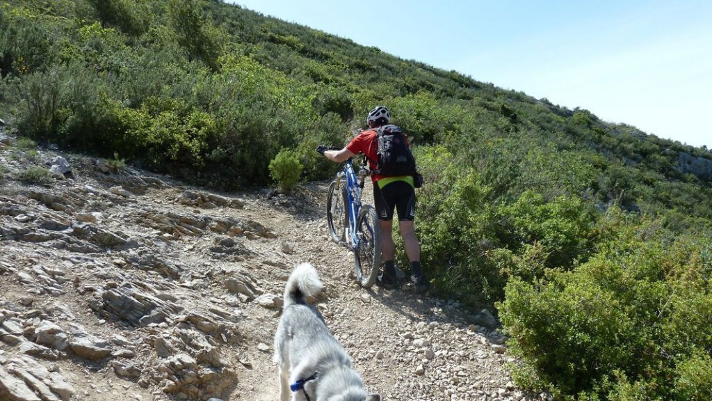 garlaban_robert_mai_2012_074.jpg