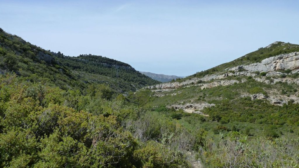 garlaban_robert_mai_2012_076.jpg