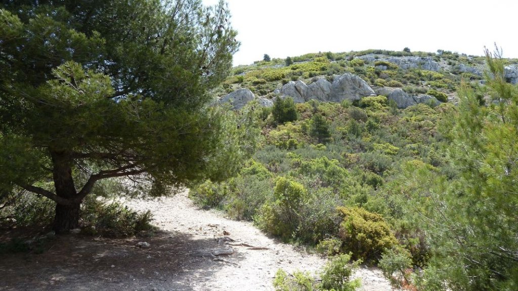 garlaban_robert_mai_2012_114.jpg