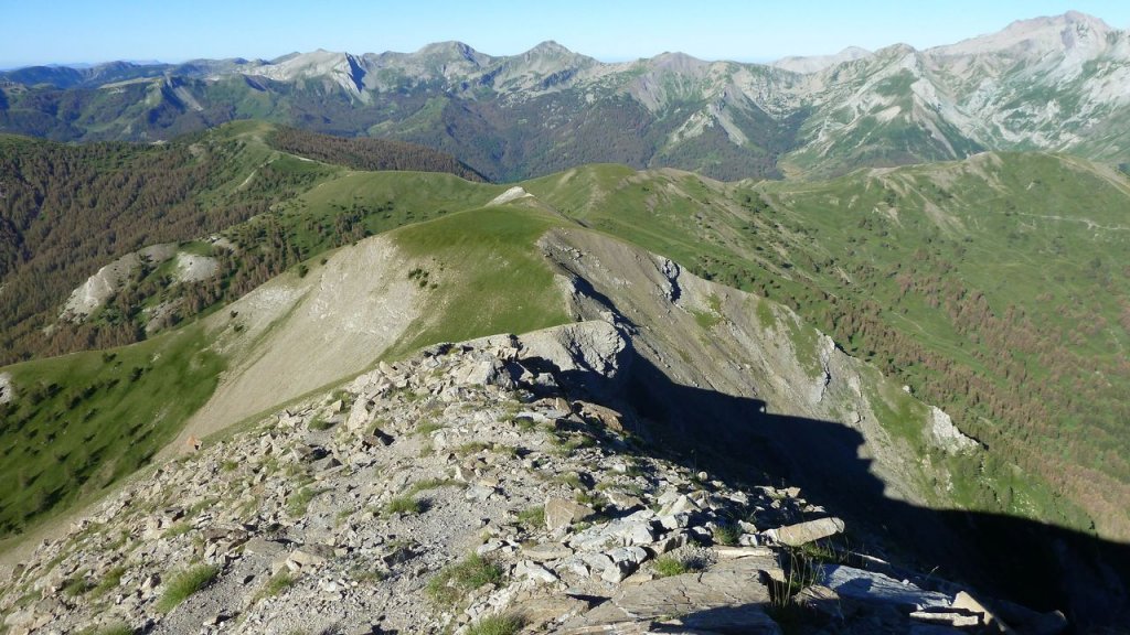 grand_cheval_de_bois_juillet_2016_031.JPG
