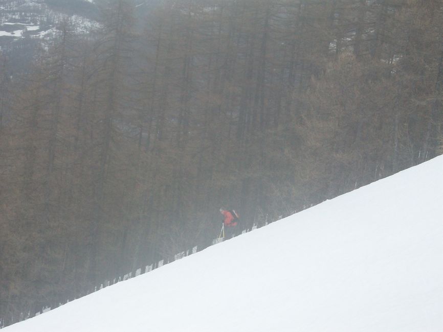 gros_tapy_avril_2013_004.jpg