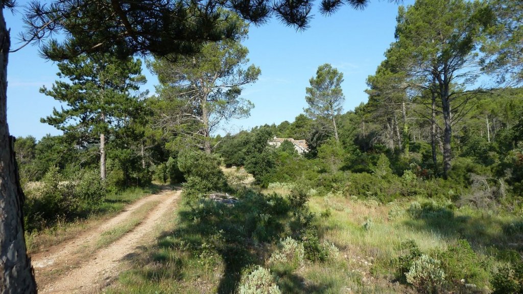 gue_du_latay_juillet_2013_016.jpg