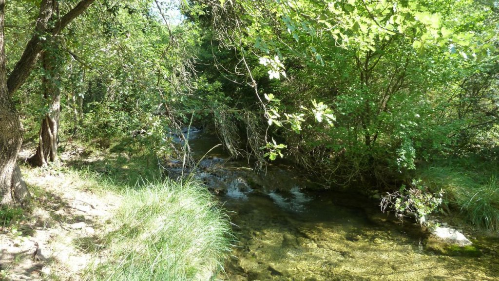 gue_du_latay_juillet_2013_028.jpg