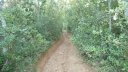 gue_du_latay_juillet_2013_006.jpg