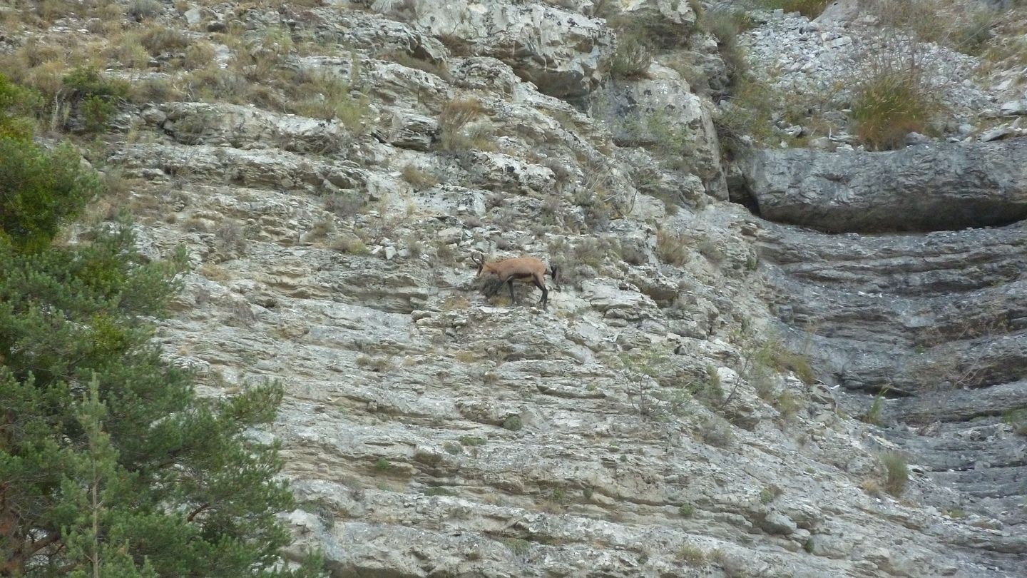 fontanil_aout_2017_013.JPG