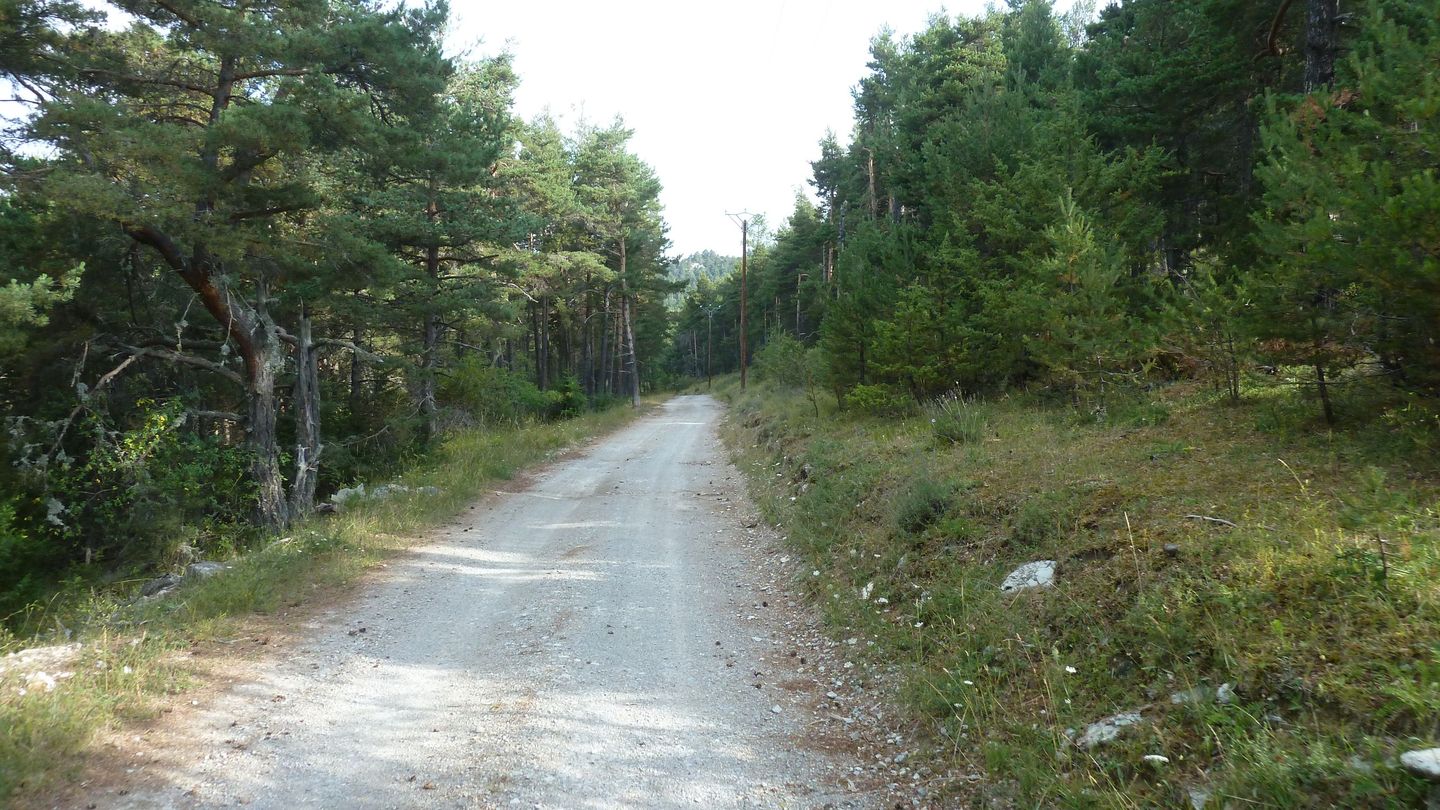 fontanil_aout_2017_046.JPG