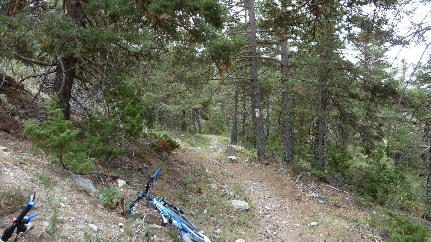 fontanil_aout_2017_082.JPG