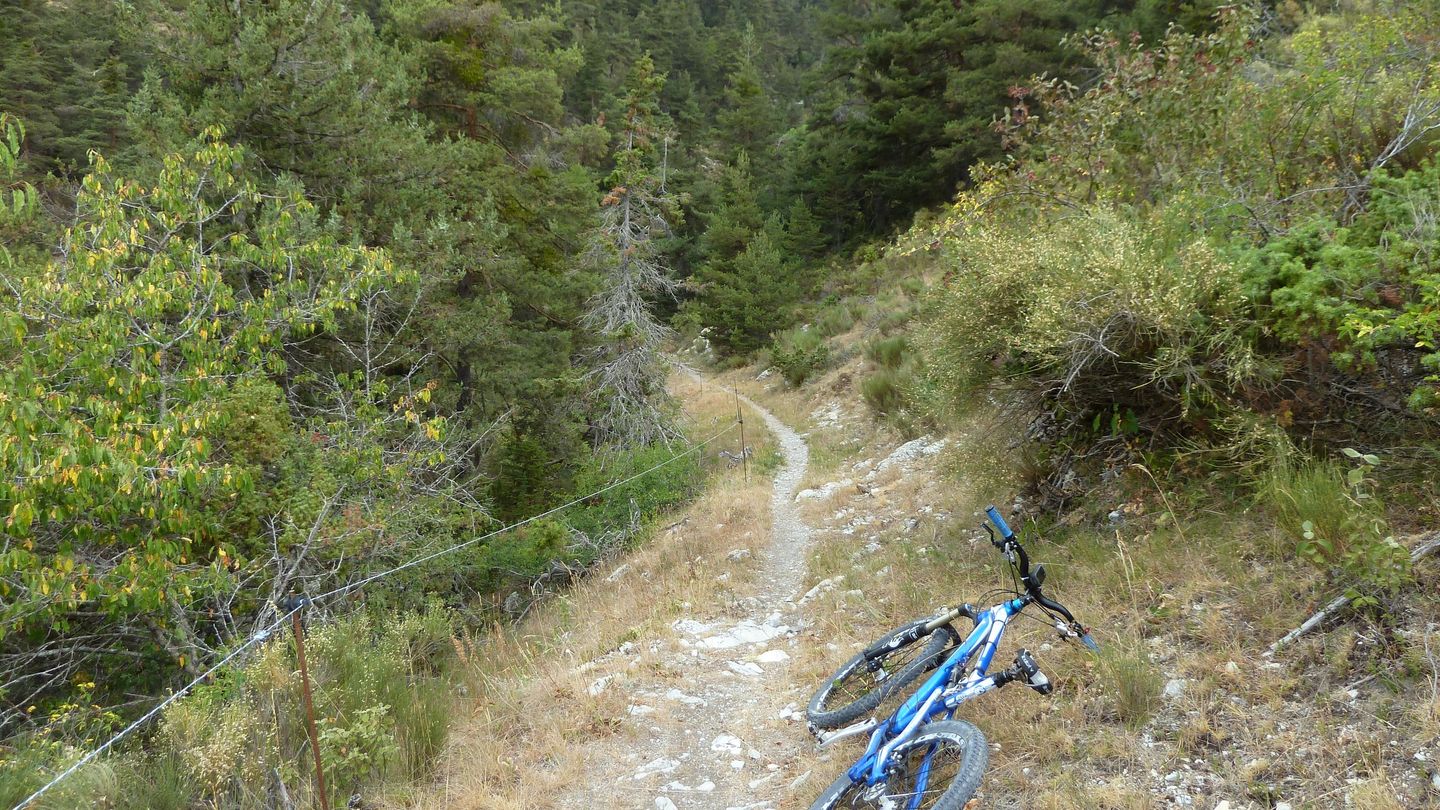 fontanil_aout_2017_088.JPG