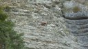 fontanil_aout_2017_013.JPG