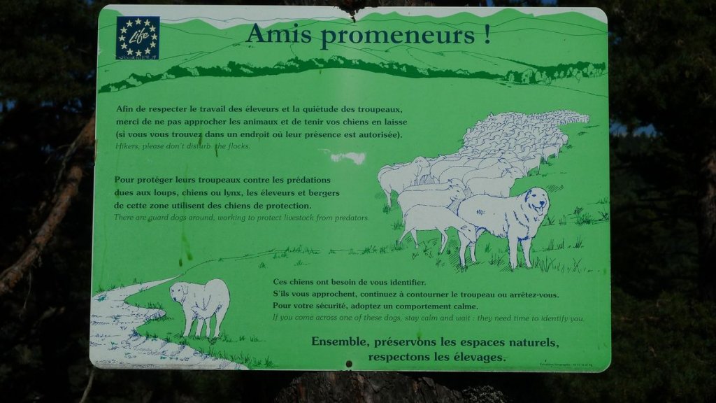guillaume_aout_2015_019.JPG