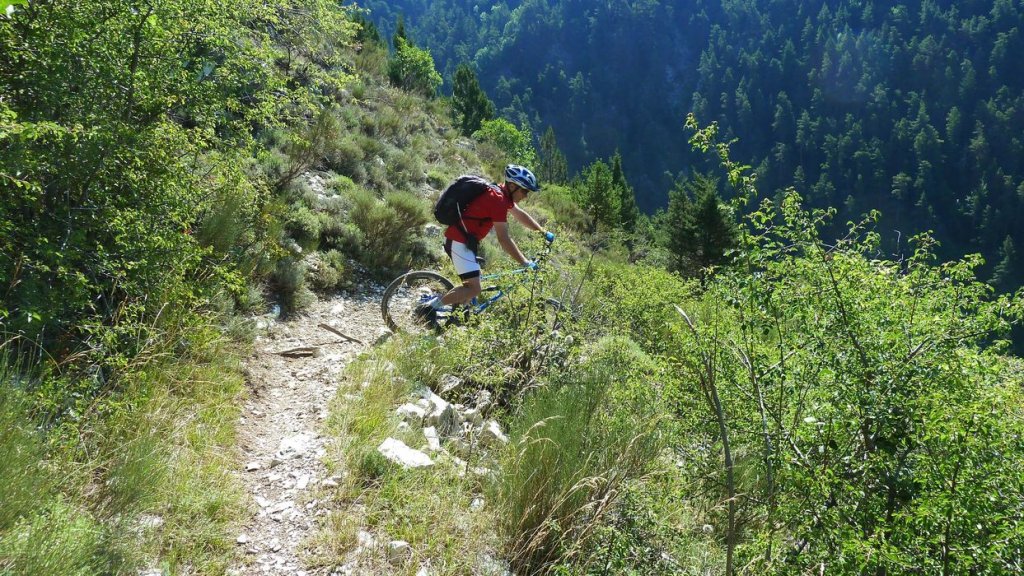 guillaume_aout_2015_033.JPG