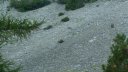 la_valette-moustiers_par_l_issole_2017_29.JPG