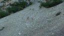 la_valette-moustiers_par_l_issole_2017_30.JPG