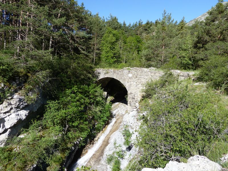 jac_juin_2011_04.jpg