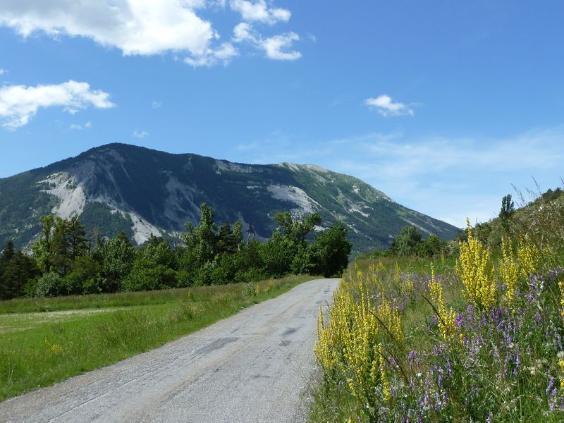 jac_juin_2011_20.jpg