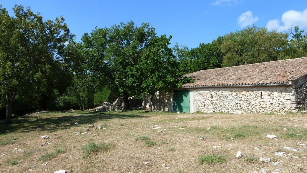 P1110932.JPG