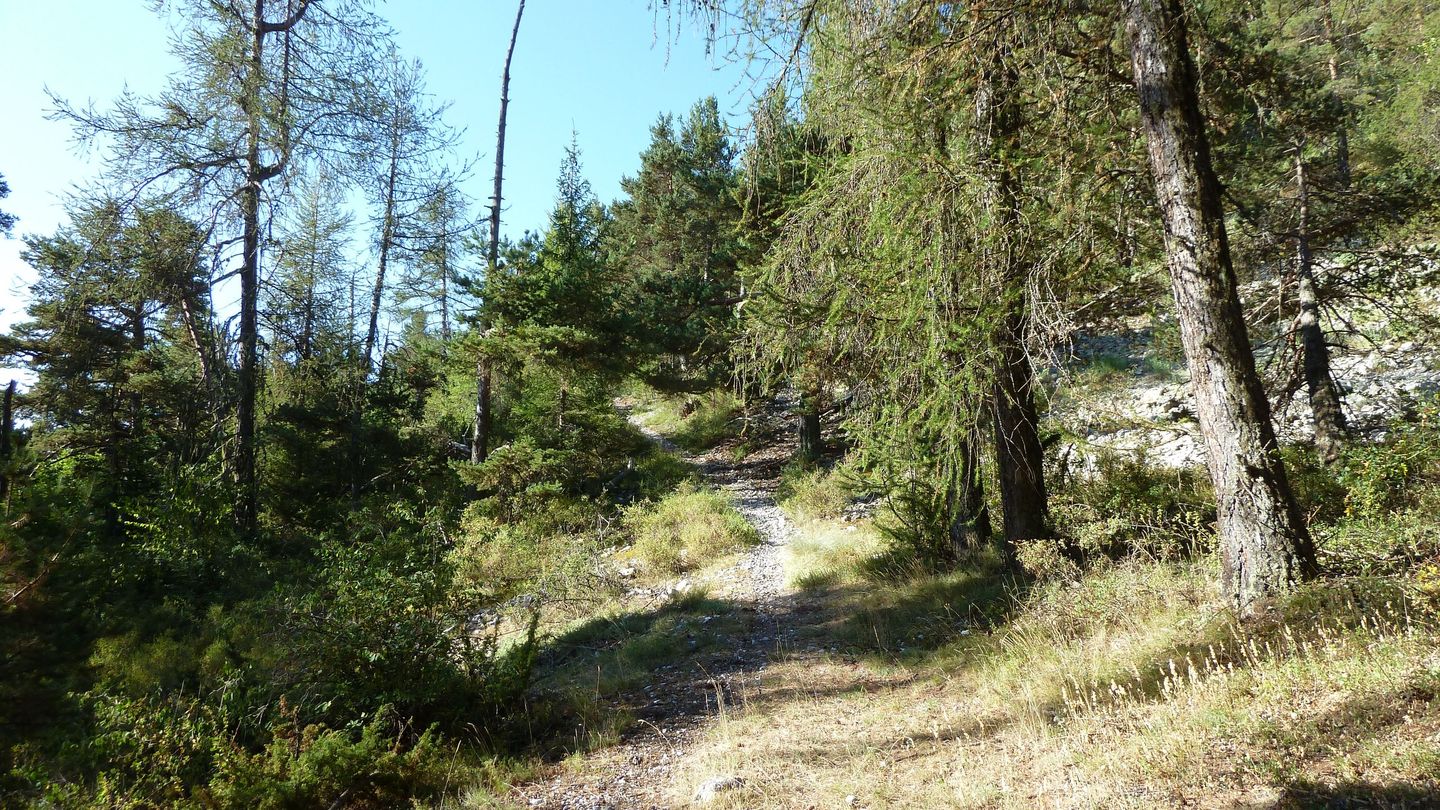 P1020277.JPG