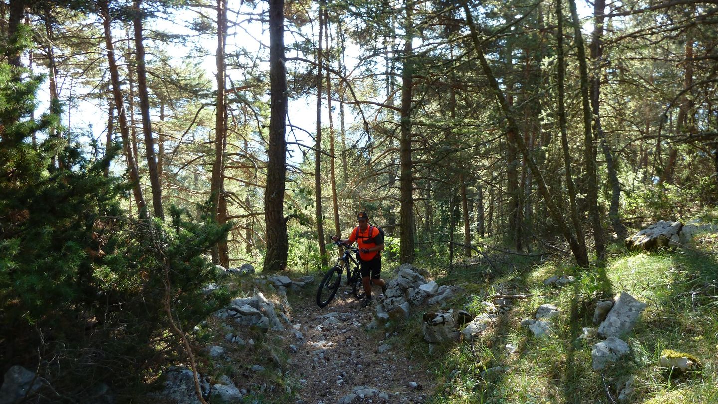 P1020278.JPG
