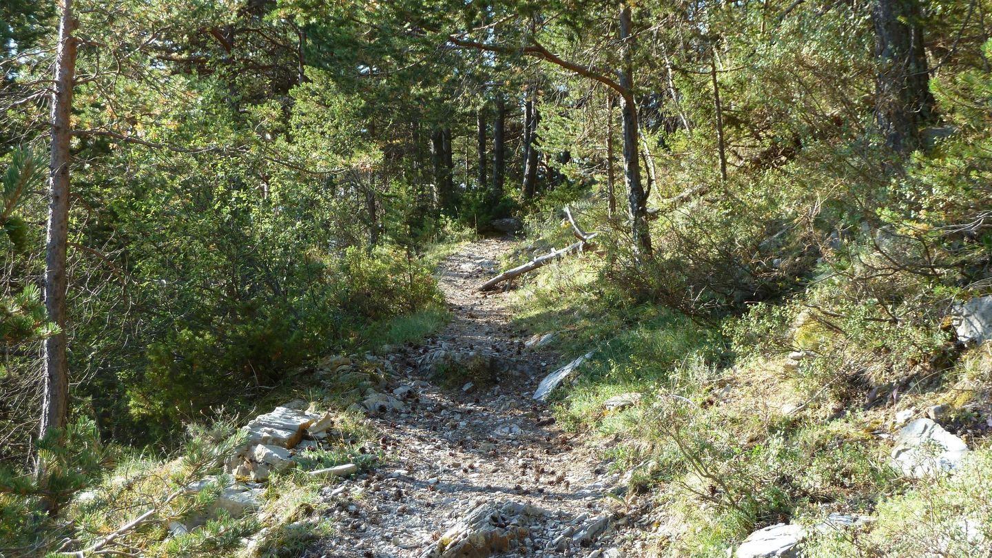 P1020282.JPG