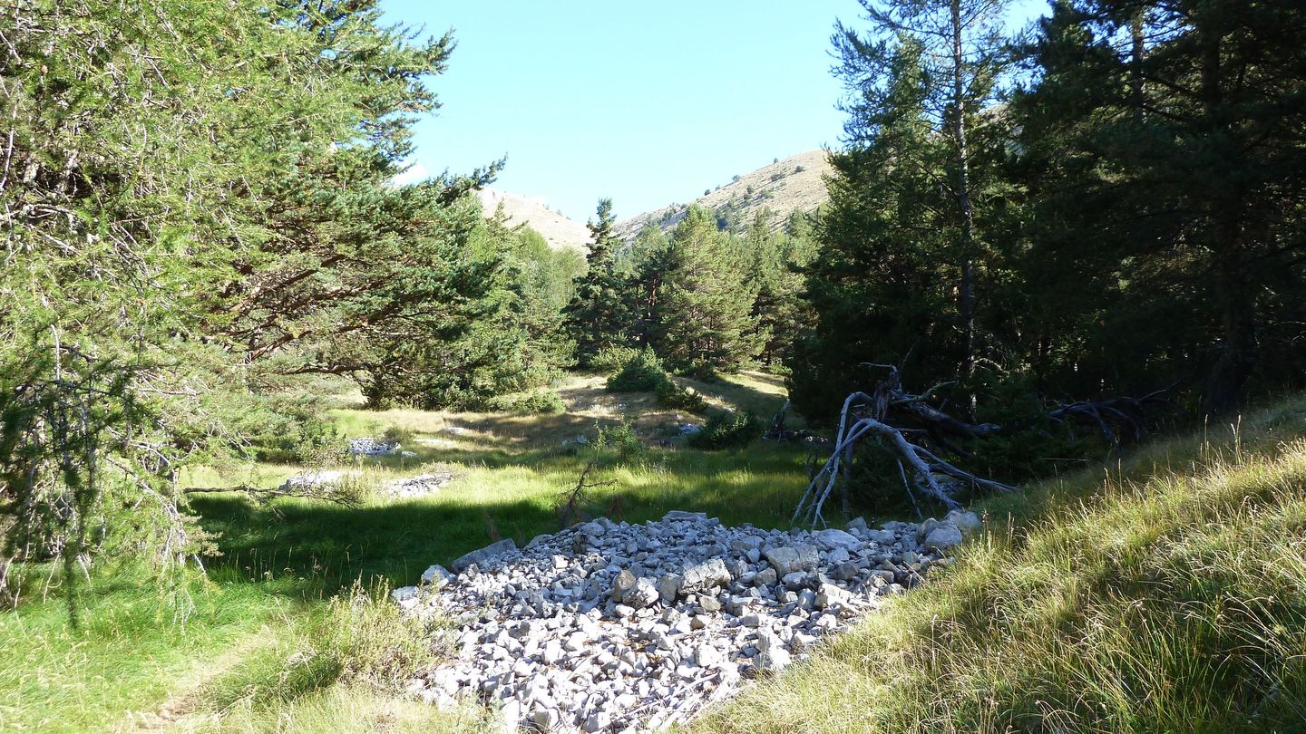 P1020284.JPG