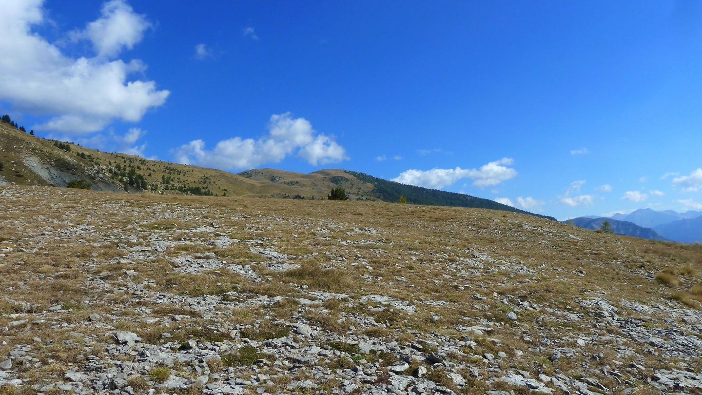 P1020294.JPG