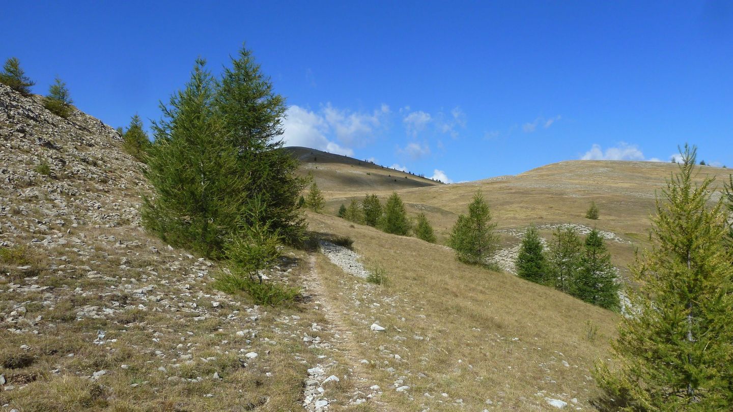 P1020305.JPG