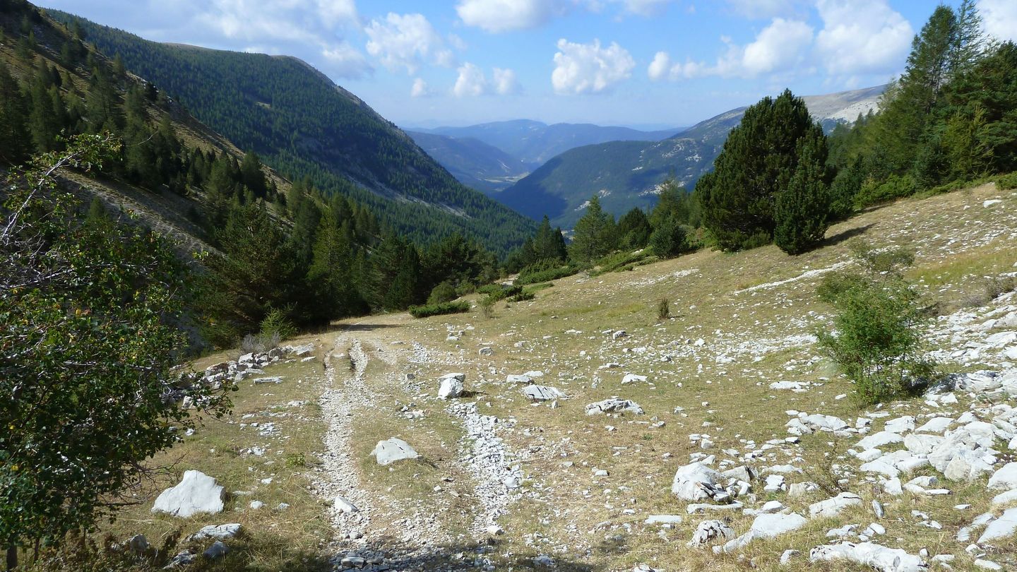 P1020318.JPG