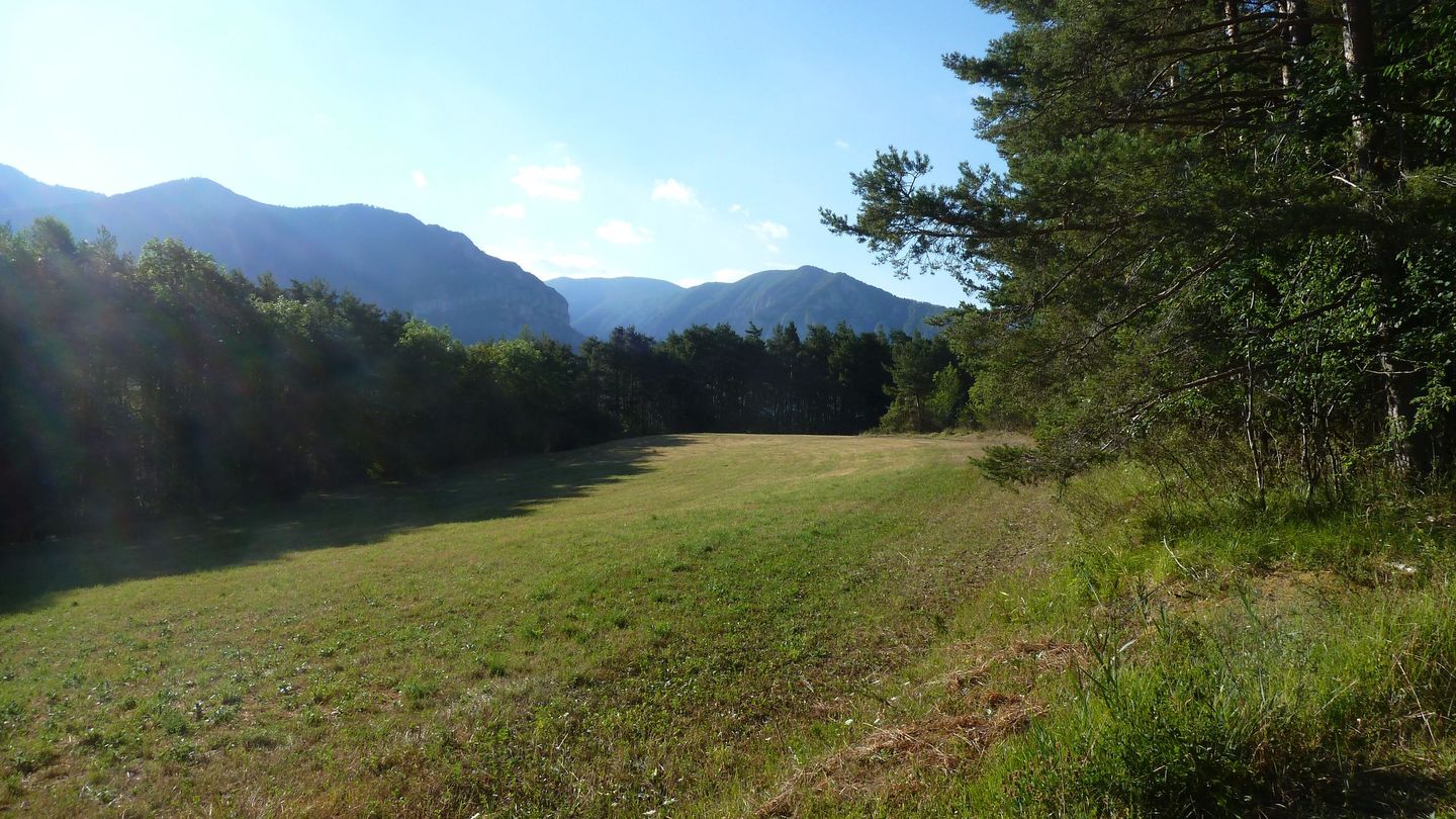 P1080091.JPG