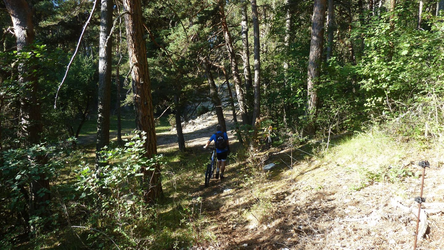 P1080097.JPG