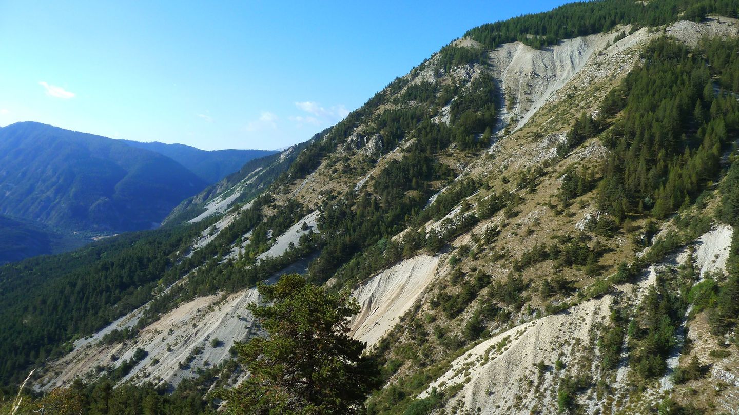 P1080107.JPG