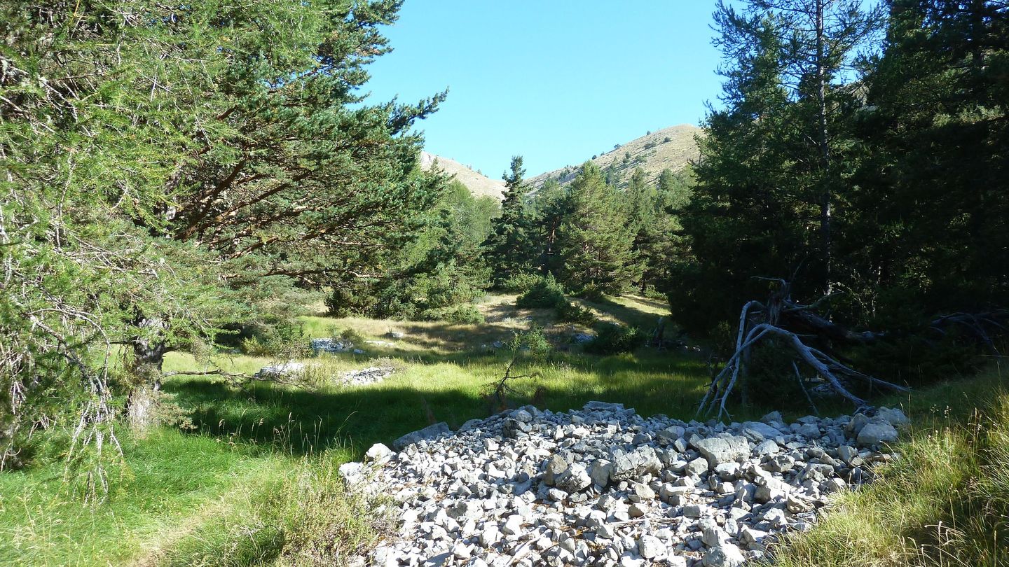 P1080110.JPG