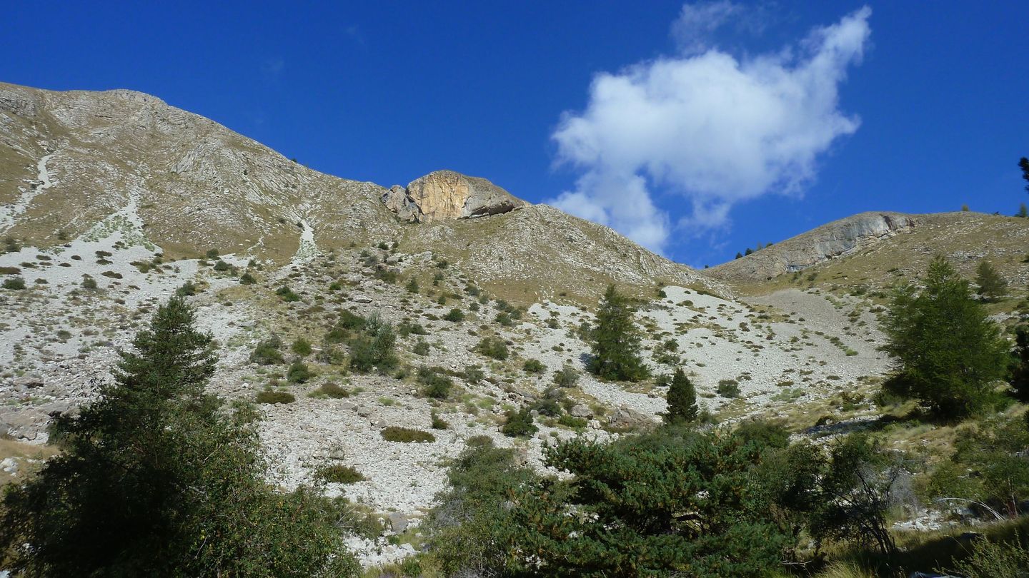 P1080114.JPG