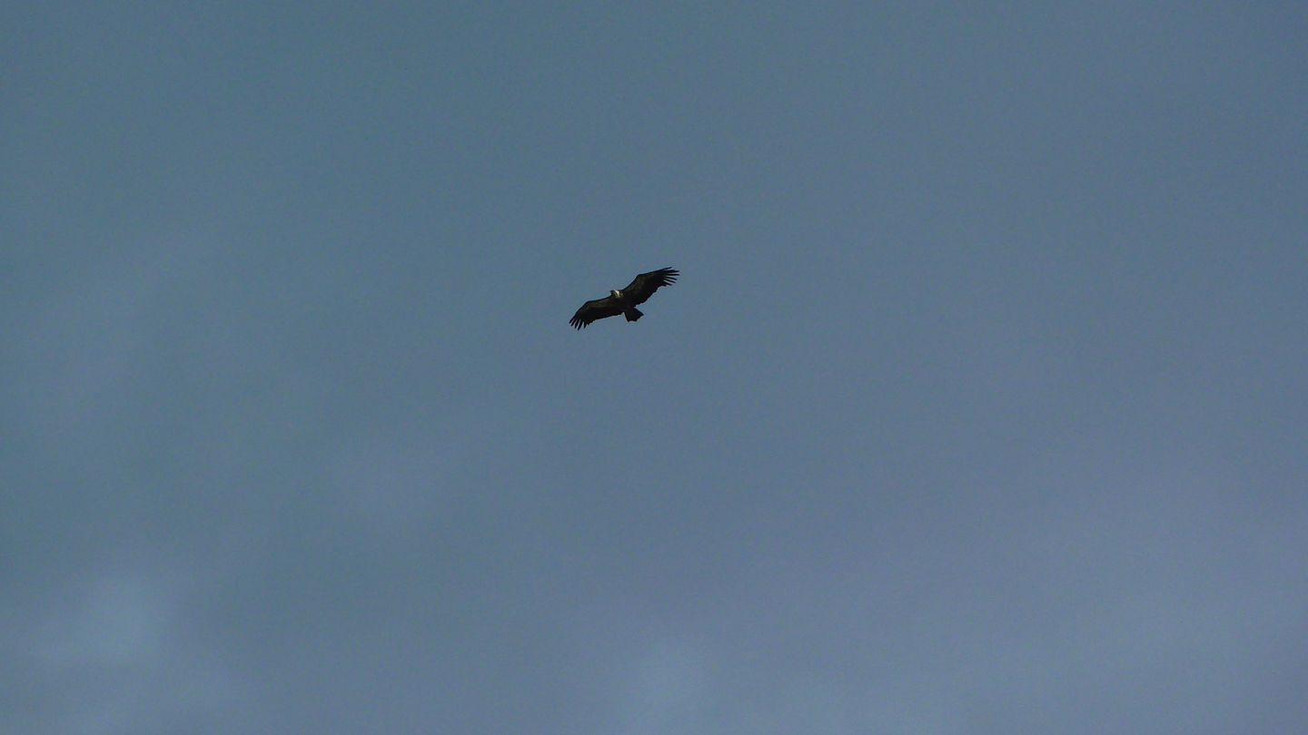 P1080126.JPG