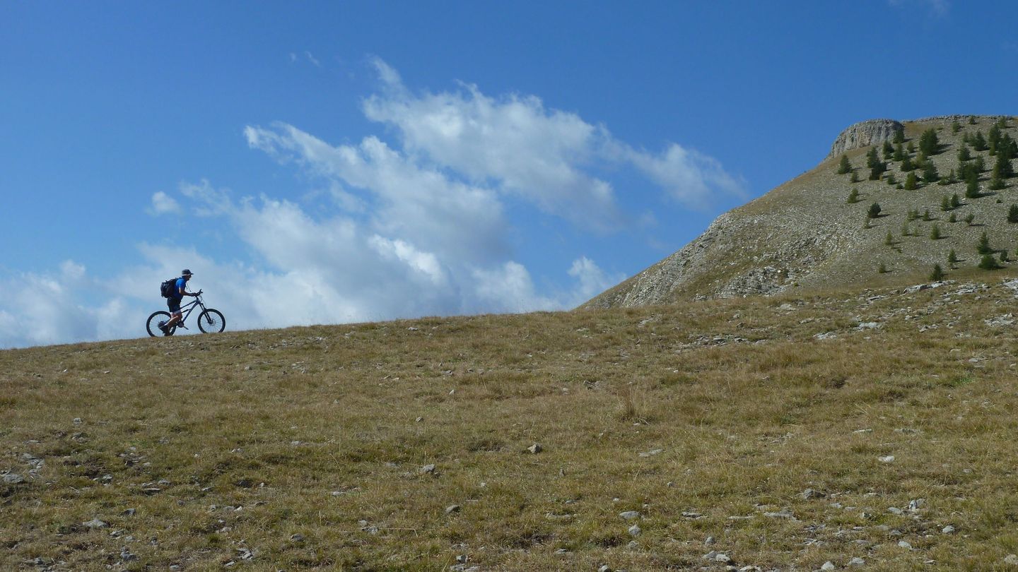 P1080132.JPG