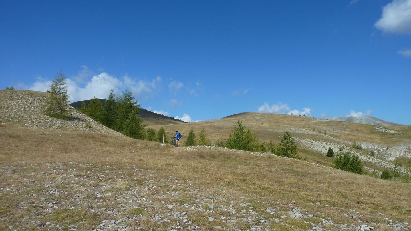 P1080134.JPG