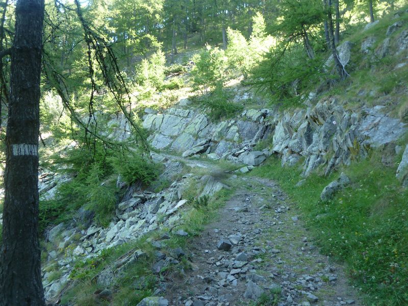 juges_2011_033.jpg