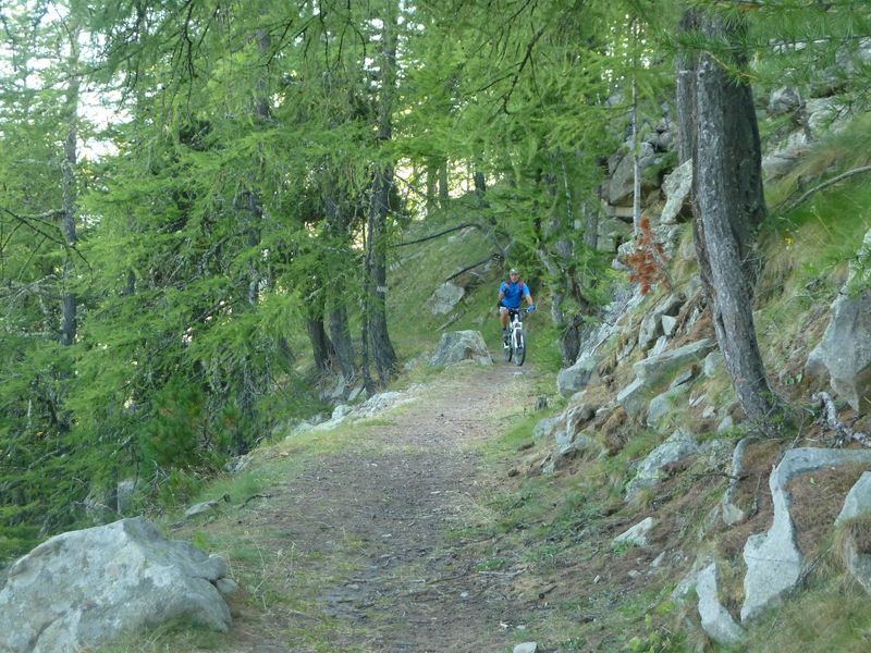 juges_2011_037.jpg