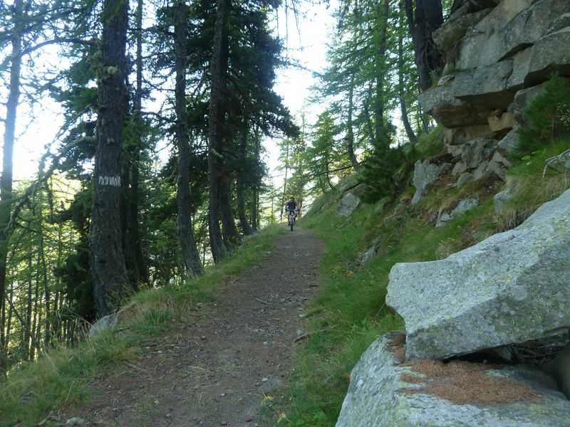 juges_2011_039.jpg