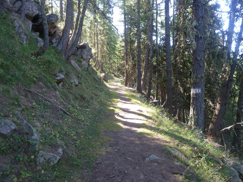 juges_2011_043.jpg