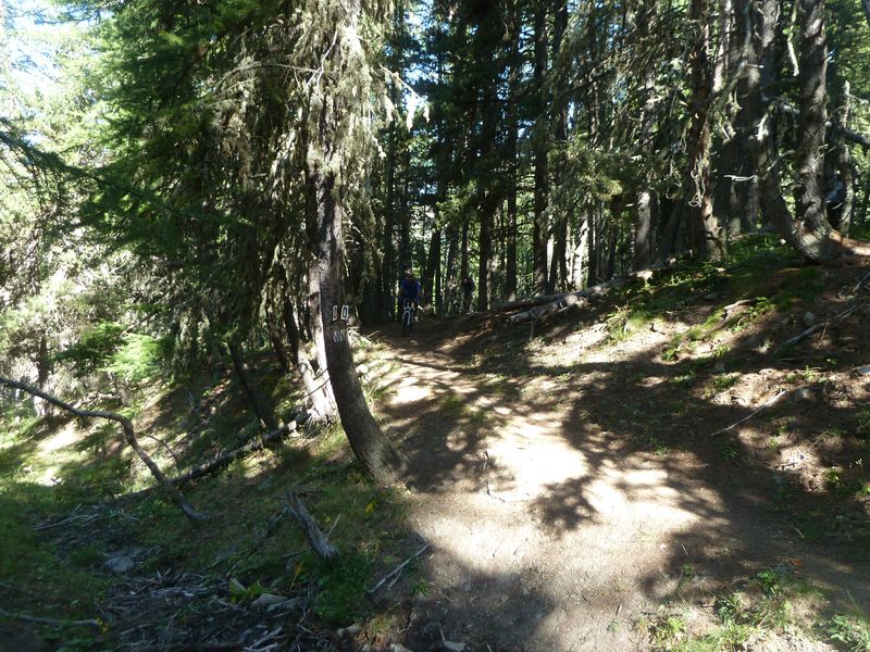 juges_2011_045.jpg