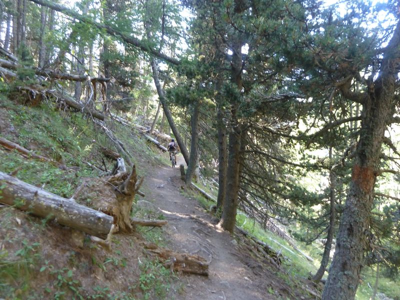 juges_2011_051.jpg