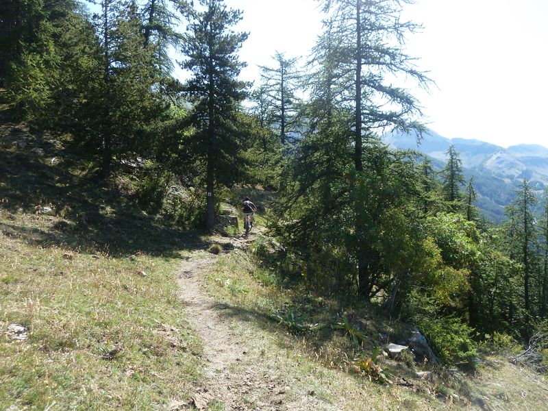 juges_2011_053.jpg