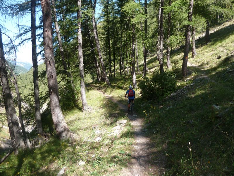 juges_2011_079.jpg