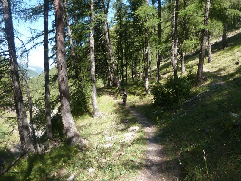 juges_2011_081.jpg