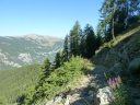 juges_2011_035.jpg